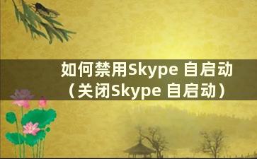 如何禁用Skype 自启动（关闭Skype 自启动）